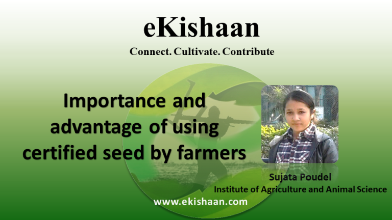 Importance and advantage of using certified seed