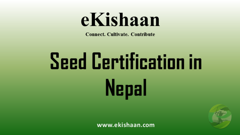 Seed Certification in Nepal