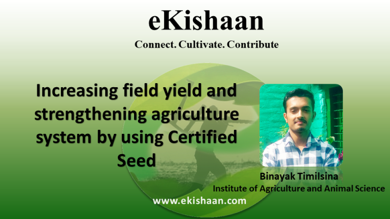 Increasing field yield and strengthening agriculture system by using Certified Seed