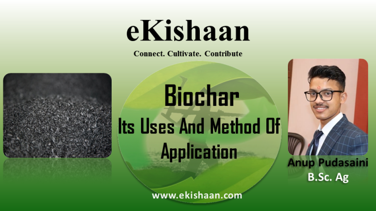 Biochar: Its Uses And Method Of Application