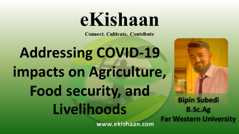 Addressing COVID-19 impacts on agriculture, food security, and livelihoods