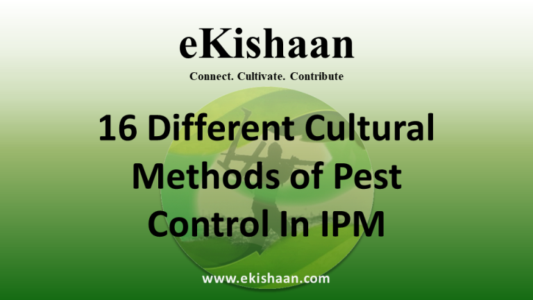 16 Different Cultural Methods of Pest Control In IPM