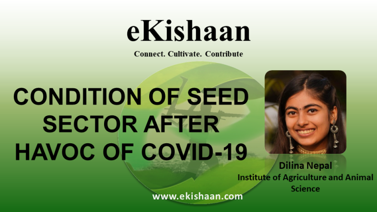 CONDITION OF SEED SECTOR AFTER HAVOC OF COVID-19