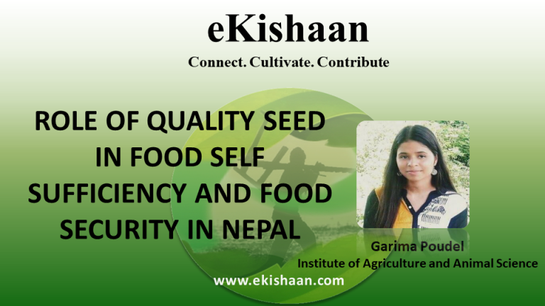 ROLE OF QUALITY SEED IN FOOD SELF SUFFICIENCY AND FOOD SECURITY IN NEPAL