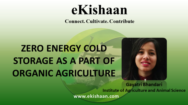 ZERO ENERGY COLD STORAGE AS A PART OF ORGANIC AGRICULTURE