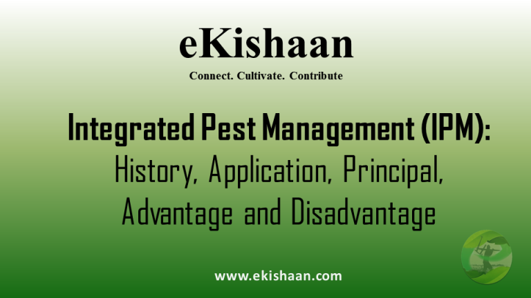 Integrated Pest Management (IPM): History, Application, Principal, Advantage and Disadvantage