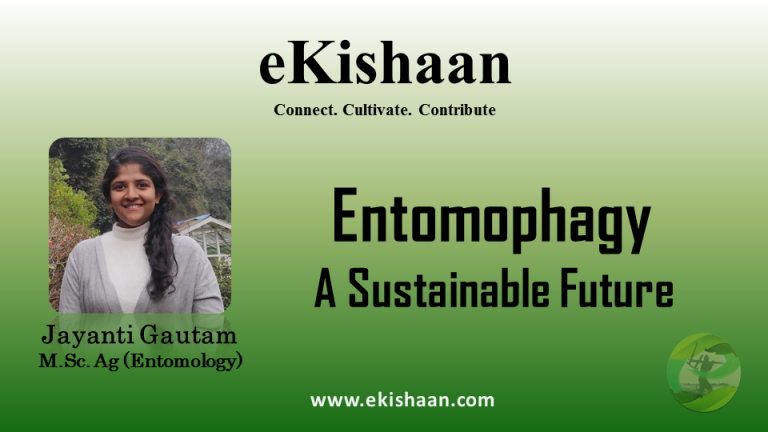 Entomophagy: A Sustainable Future