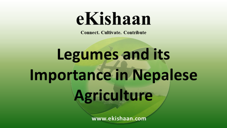 Legumes and its Importance in Nepalese Agriculture