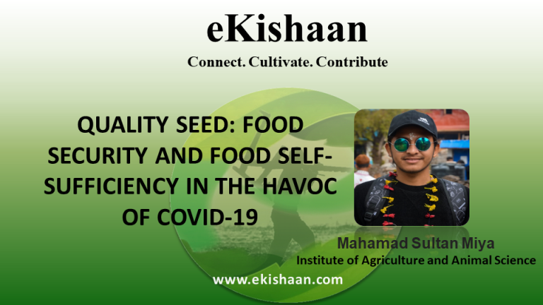QUALITY SEED: FOOD SECURITY AND FOOD SELF-SUFFICIENCY IN THE HAVOC OF COVID-19