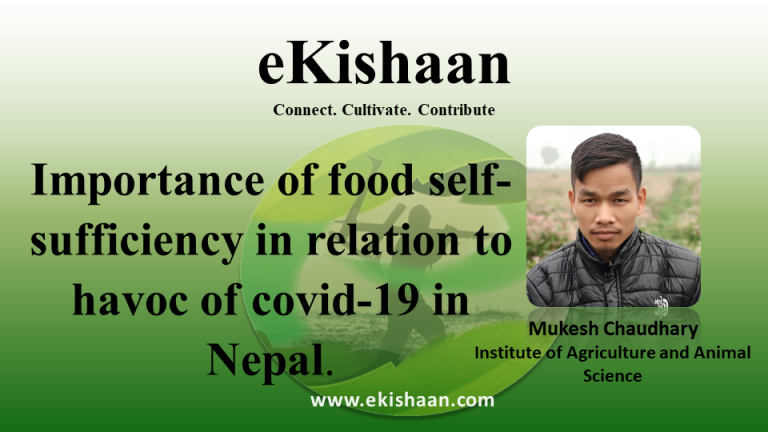 Importance of food self-sufficiency in relation to havoc of CORONA in Nepal.