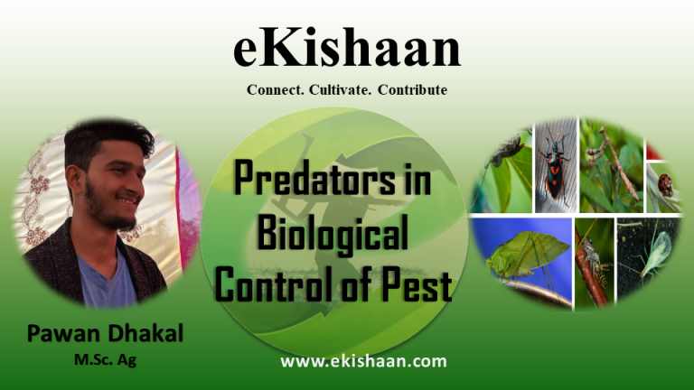 Predators in Biological Control of Pest
