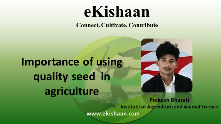 Importance of using quality seed  in agriculture
