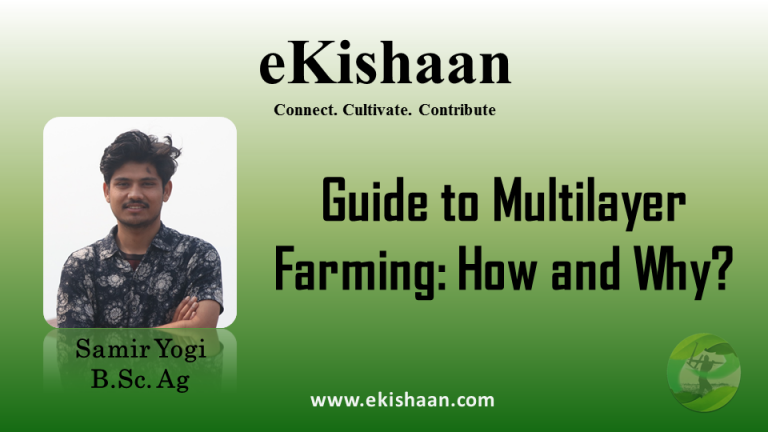 Guide to Multilayer Farming: How and Why?