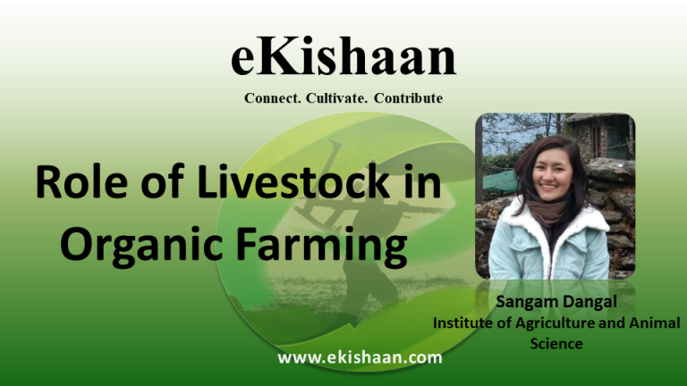 Role of Livestock in Organic Farming 