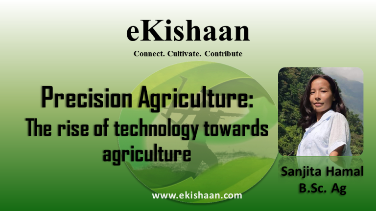 Precision Agriculture: The rise of technology towards agriculture