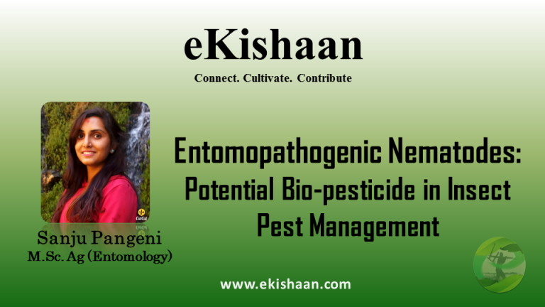 Entomopathogenic Nematodes: Potential Bio-pesticide in Insect Pest Management