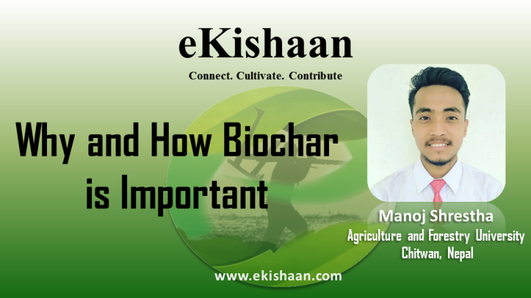 Why and How Biochar is Important