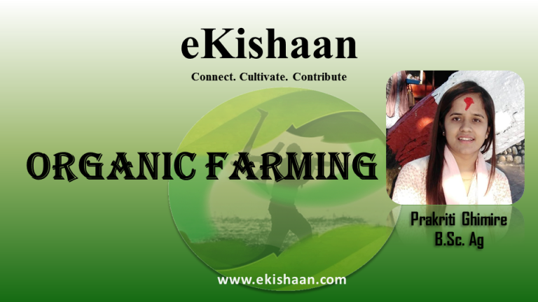  Organic Farming