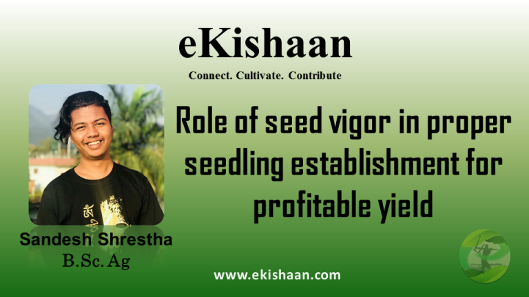Role of seed vigor in proper seedling establishment for profitable yield