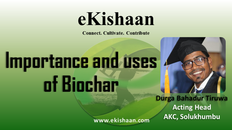 Importance and uses of Biochar