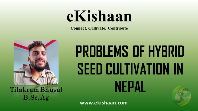 PROBLEMS OF HYBRID SEED CULTIVATION IN NEPAL
