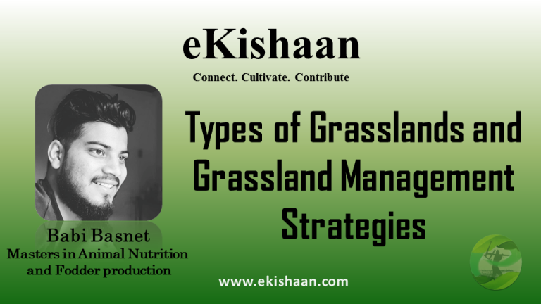 Types of Grasslands and Grassland Management Strategies