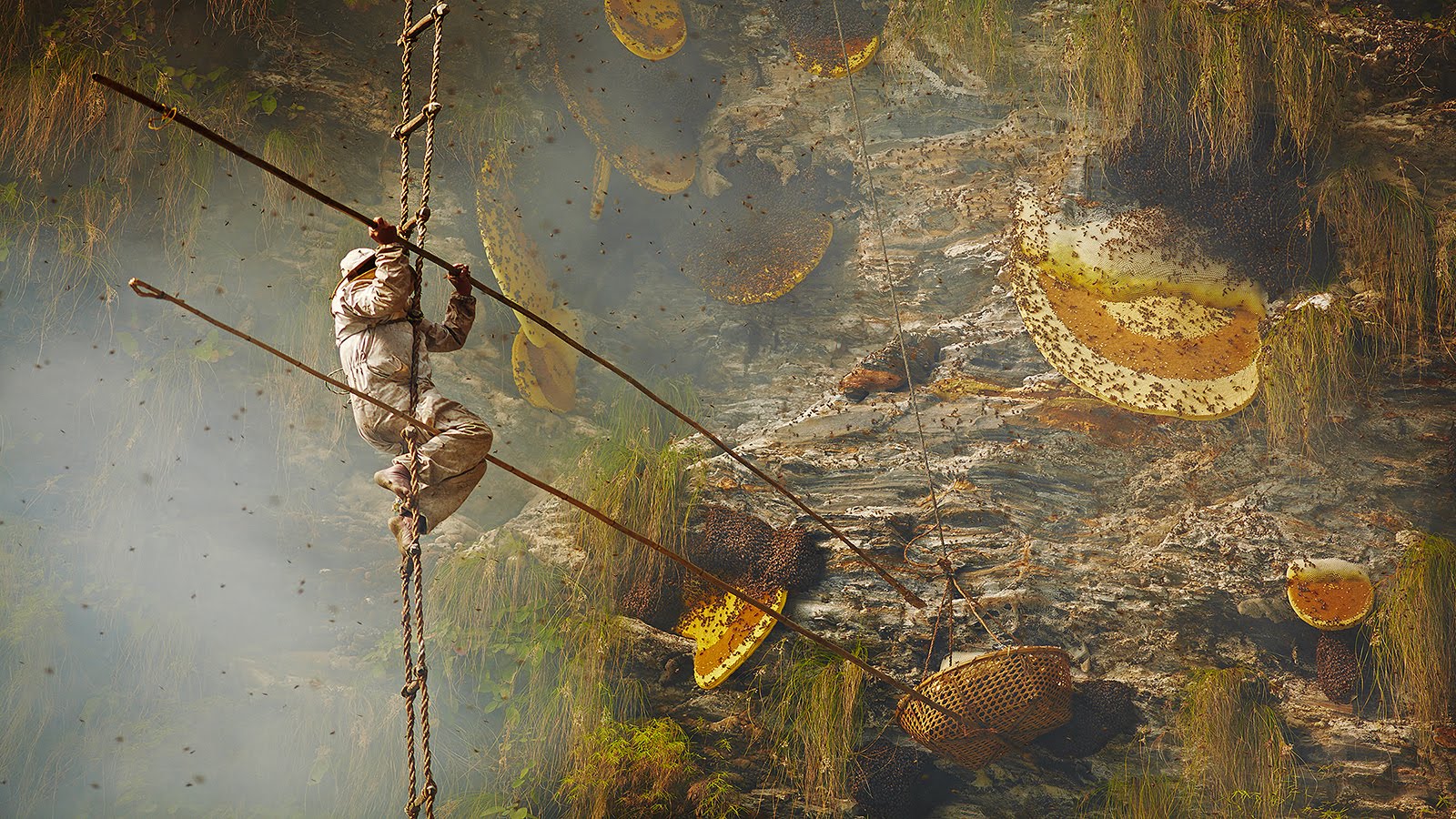 Mad honey hunting in Nepal - eKishaan