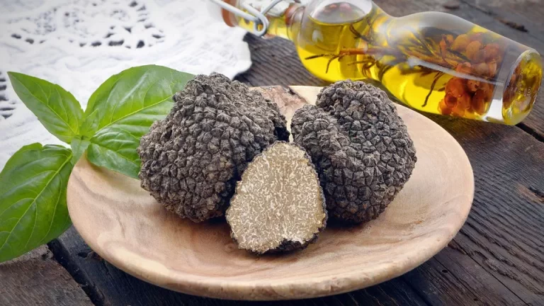 What is truffle and why is it so expensive?